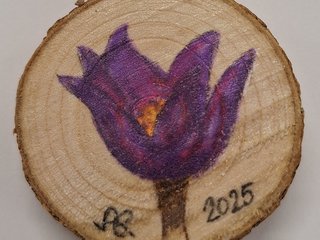 tvoreni_20250210_191723